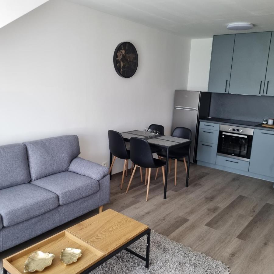 Cerna Ruze- Apartman 5 Plzeň Exterior foto