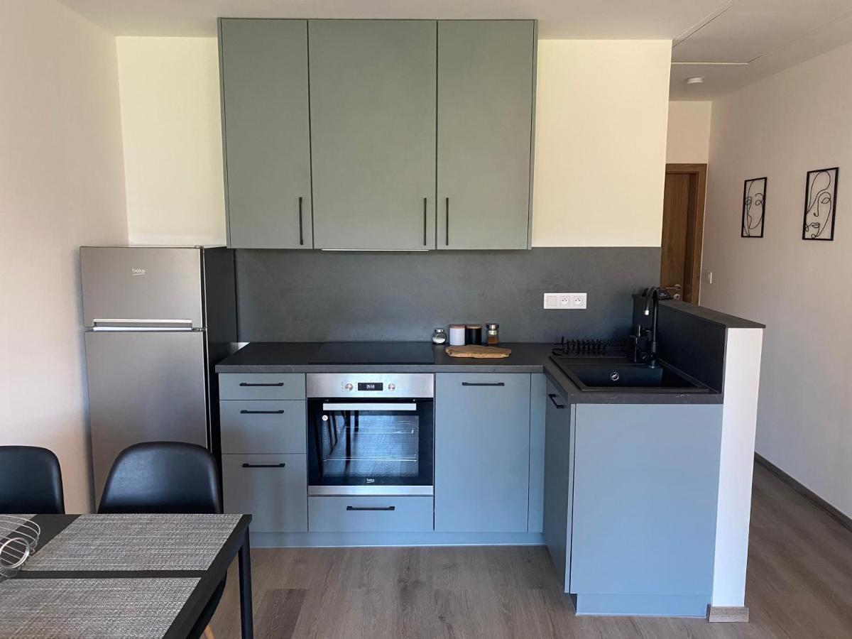 Cerna Ruze- Apartman 5 Plzeň Exterior foto